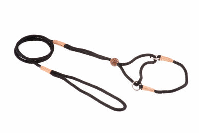 Nylon Martingale Leads (8in x 1/8in or 4mm) - Your Pet Connection
