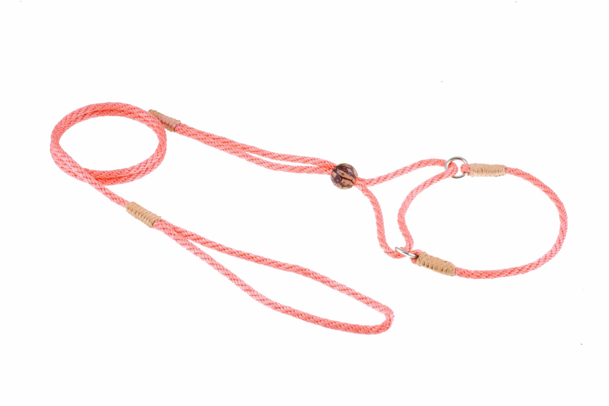 Nylon Martingale Leads (8in x 1/8in or 4mm) - Your Pet Connection
