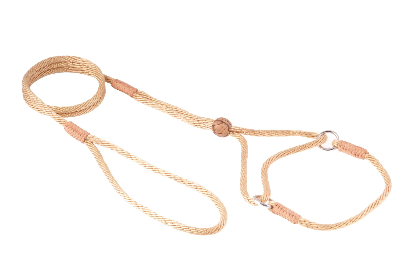 Nylon Martingale Leads (8in x 1/8in or 4mm) - Your Pet Connection