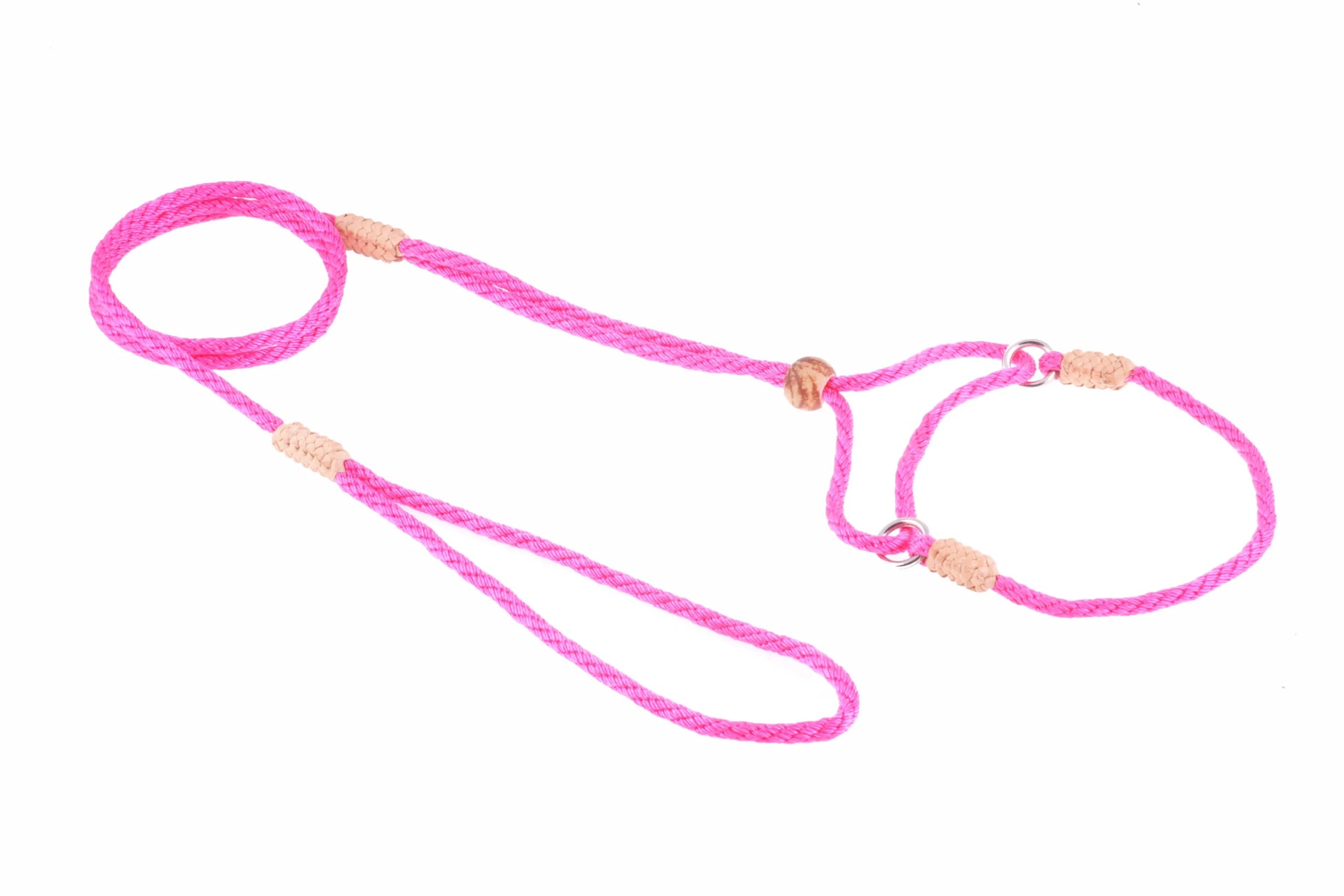 Nylon Martingale Leads (8in x 1/8in or 4mm) - Your Pet Connection