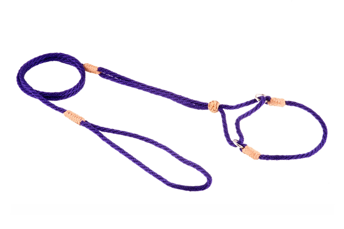 Nylon Martingale Leads (8in x 1/8in or 4mm) - Your Pet Connection