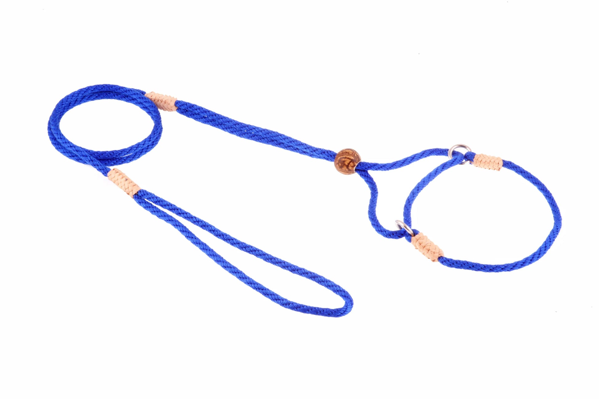 Nylon Martingale Leads (8in x 1/8in or 4mm) - Your Pet Connection