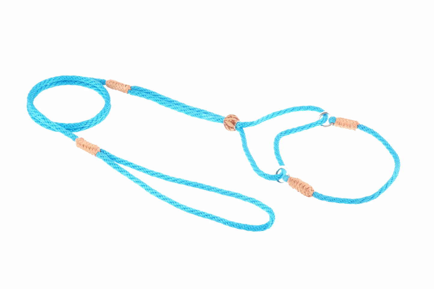 Nylon Martingale Leads (8in x 1/8in or 4mm) - Your Pet Connection