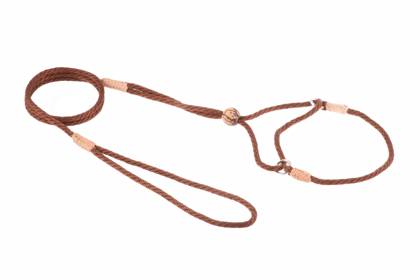Nylon Martingale Leads (8in x 1/8in or 4mm) - Your Pet Connection