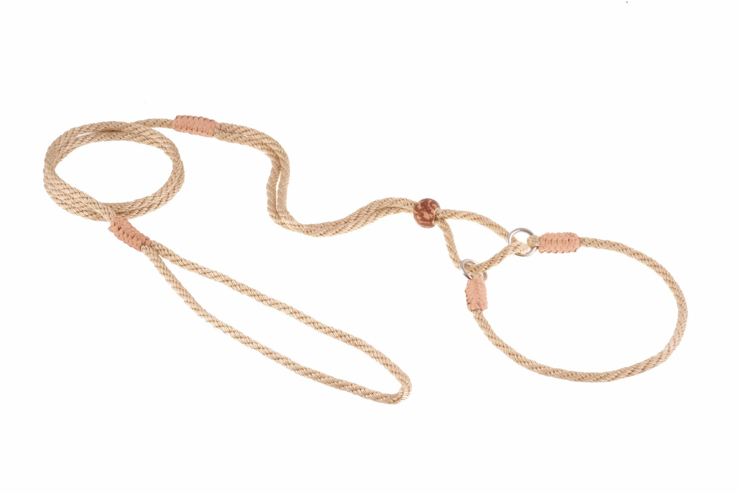 Nylon Martingale Leads (10in x 1/8in or 4mm) - Your Pet Connection