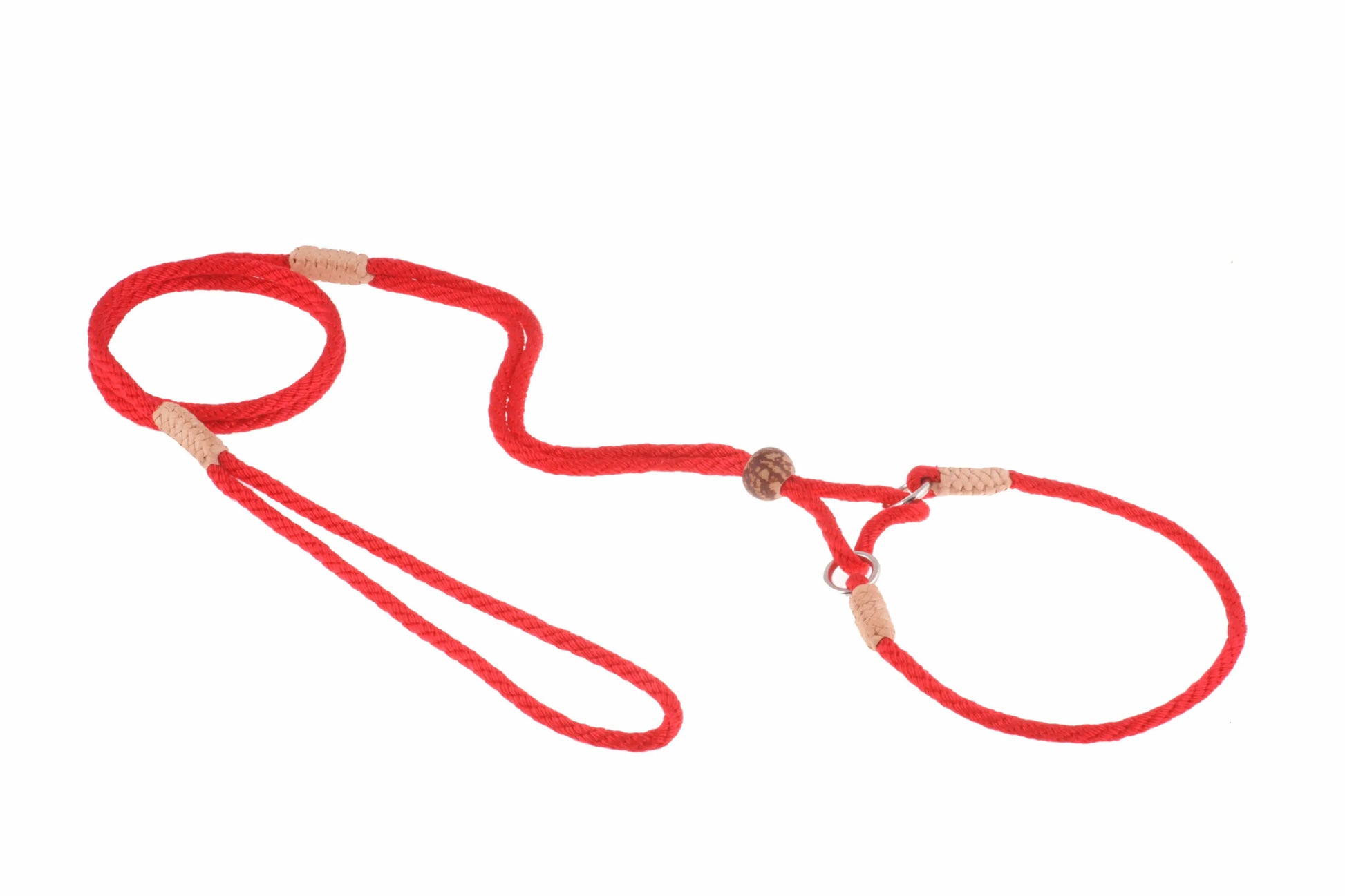 Nylon Martingale Leads (10in x 1/8in or 4mm) - Your Pet Connection