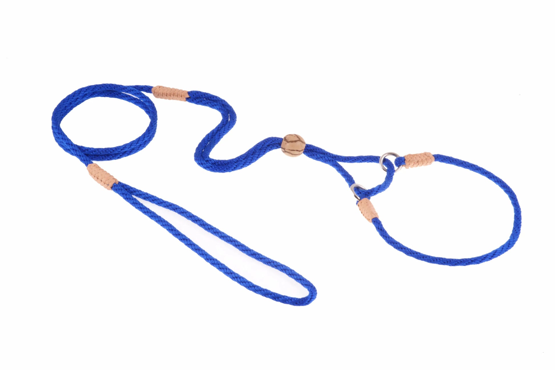 Nylon Martingale Leads (10in x 1/8in or 4mm) - Your Pet Connection