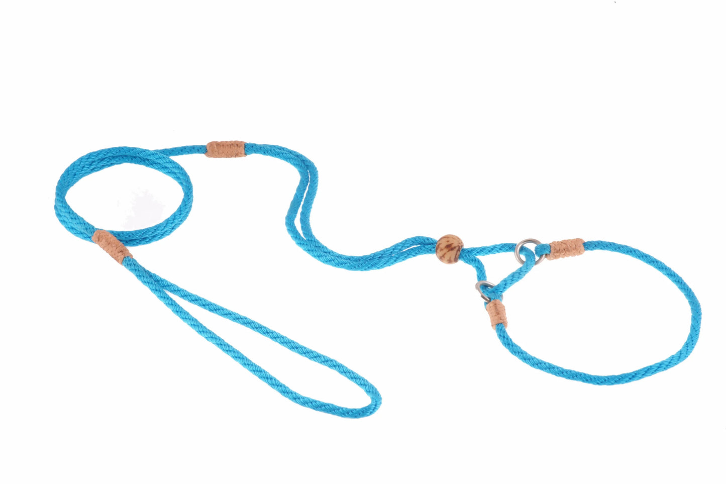 Nylon Martingale Leads (10in x 1/8in or 4mm) - Your Pet Connection
