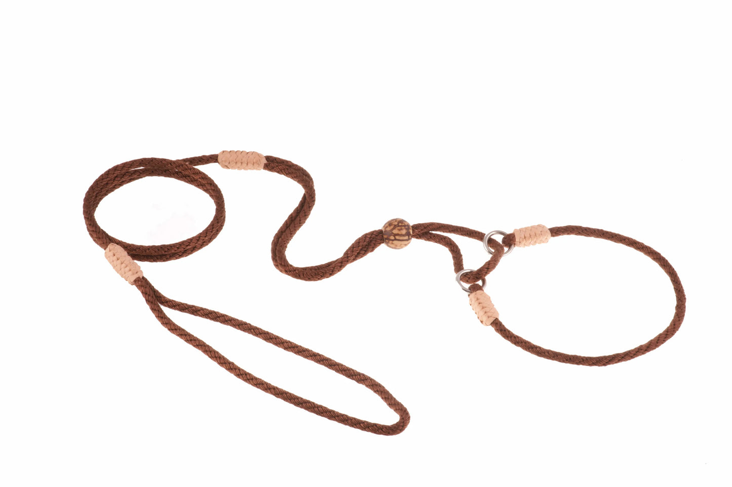 Nylon Martingale Leads (10in x 1/8in or 4mm) - Your Pet Connection