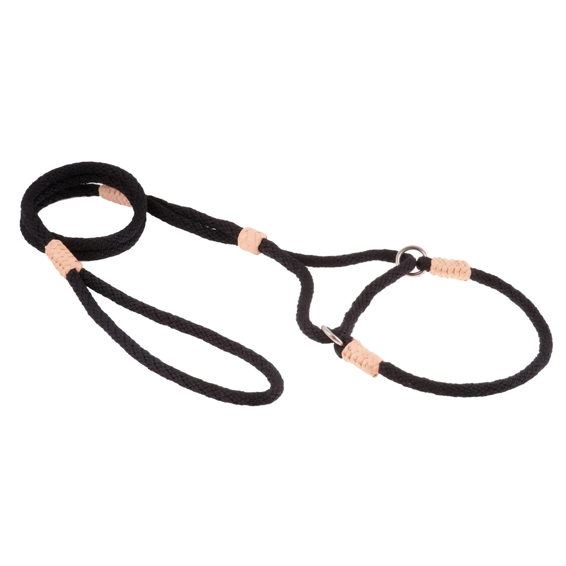 Nylon Martingale Leads (10in x 1/4in or 6mm) - Your Pet Connection
