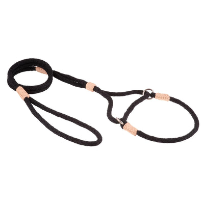 Nylon Martingale Leads (10in x 1/4in or 6mm) - Your Pet Connection