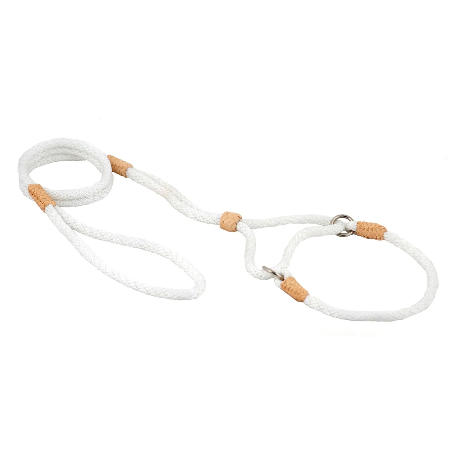 Nylon Martingale Leads (10in x 1/4in or 6mm) - Your Pet Connection