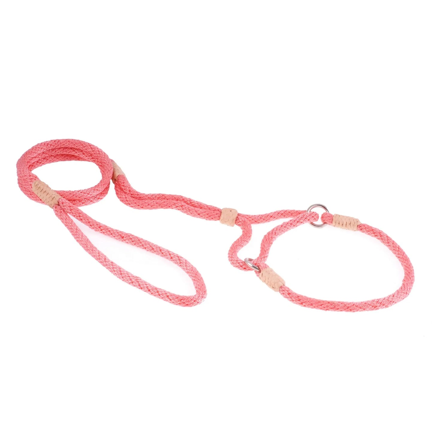 Nylon Martingale Leads (10in x 1/4in or 6mm) - Your Pet Connection