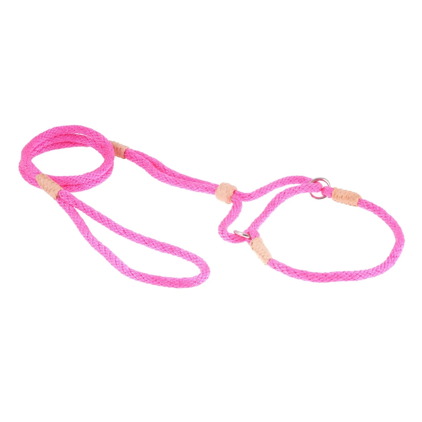 Nylon Martingale Leads (10in x 1/4in or 6mm) - Your Pet Connection