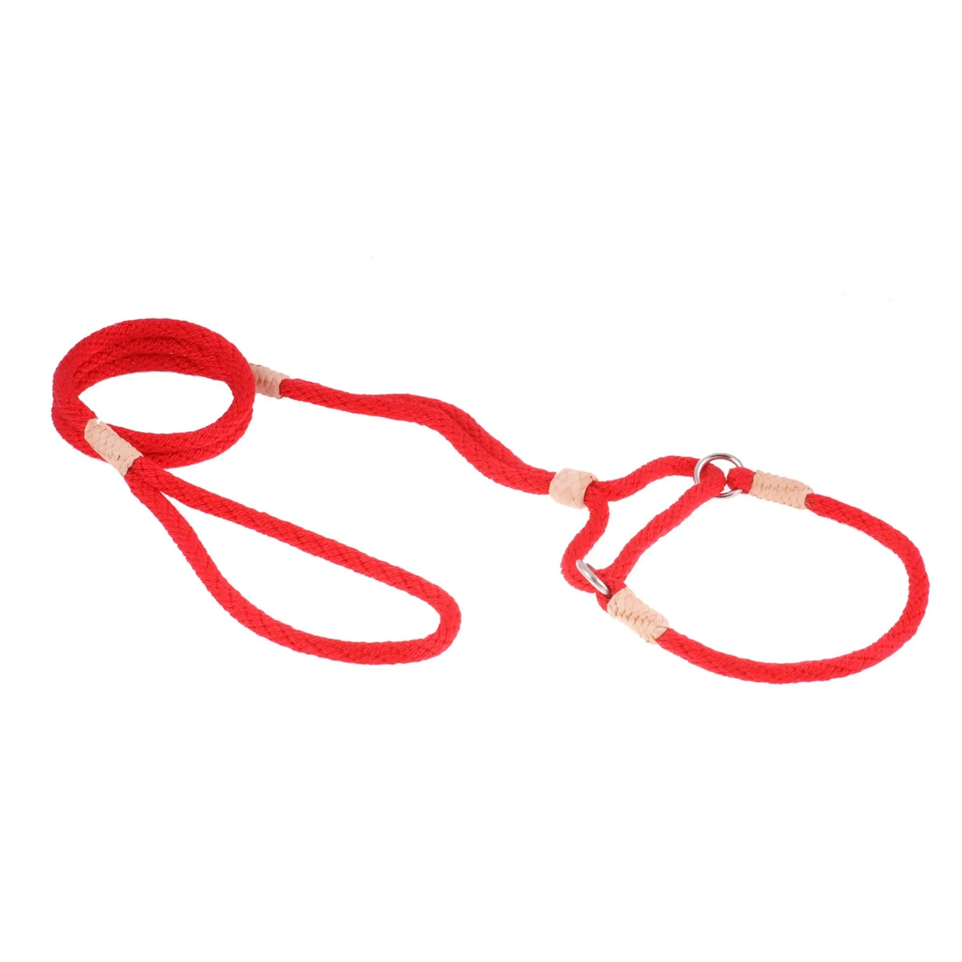 Nylon Martingale Leads (10in x 1/4in or 6mm) - Your Pet Connection