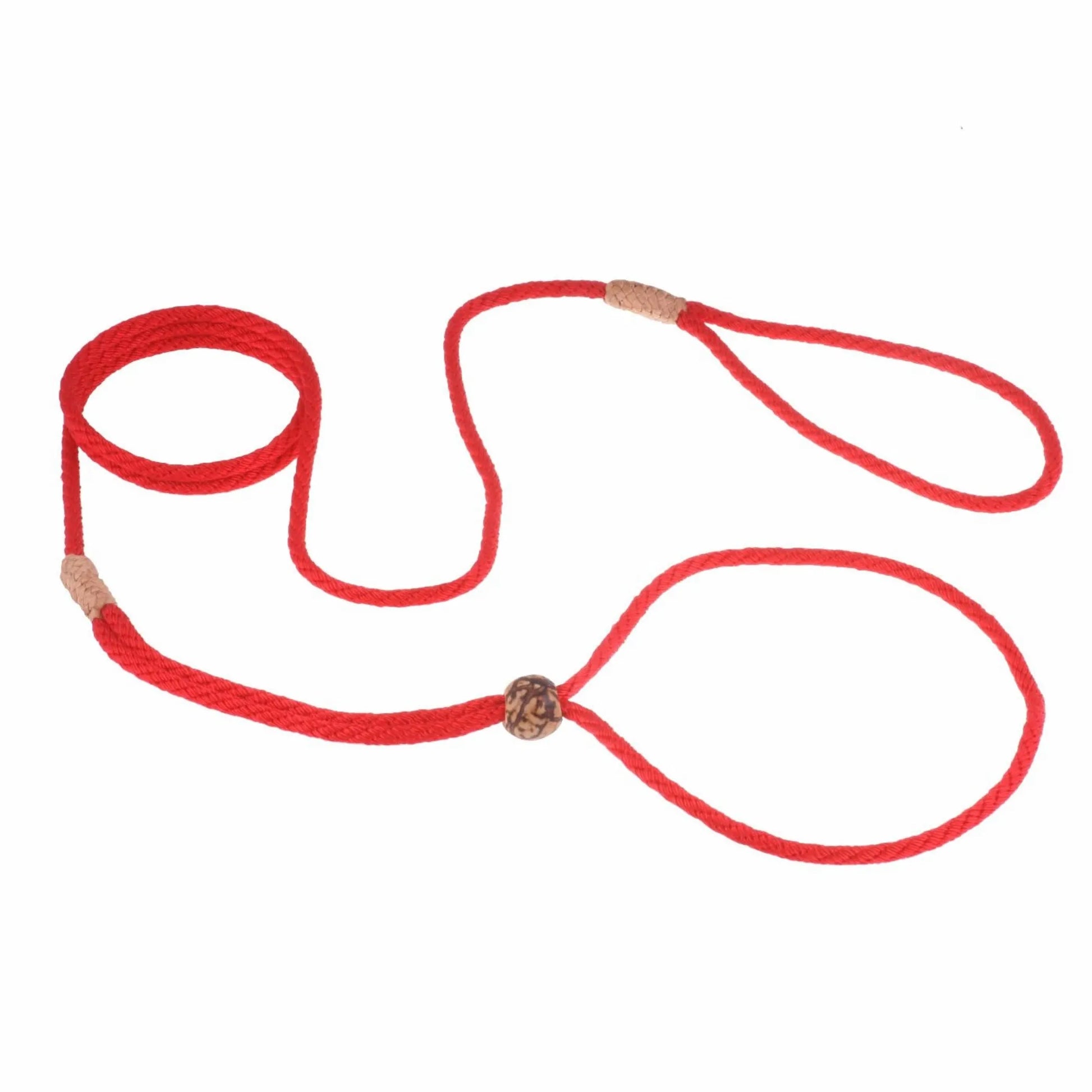 Nylon Adjustable Loop Lead (52in x 1/8in or 4mm) - Your Pet Connection
