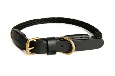 Rope and Leather Collar with Buckle (26 in) - Your Pet Connection