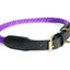 Rope and Leather Collar with Buckle (24 in) - Your Pet Connection