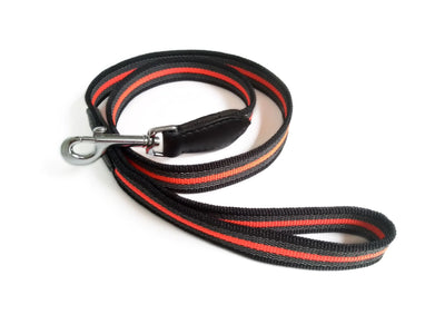 Alvalley LLC Reflective Leather Dog Leash 4 ft