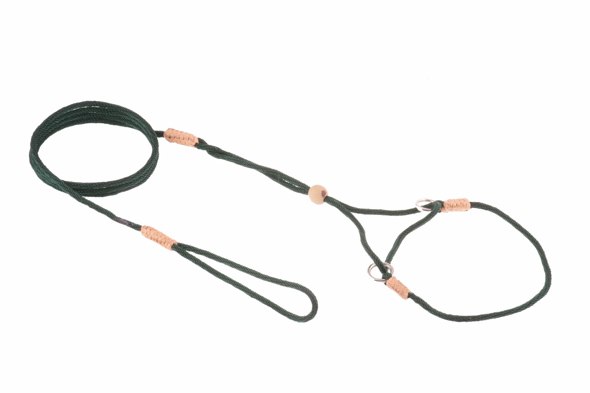 Nylon Martingale Leads (8in x 1/16 or 2 mm) - Your Pet Connection