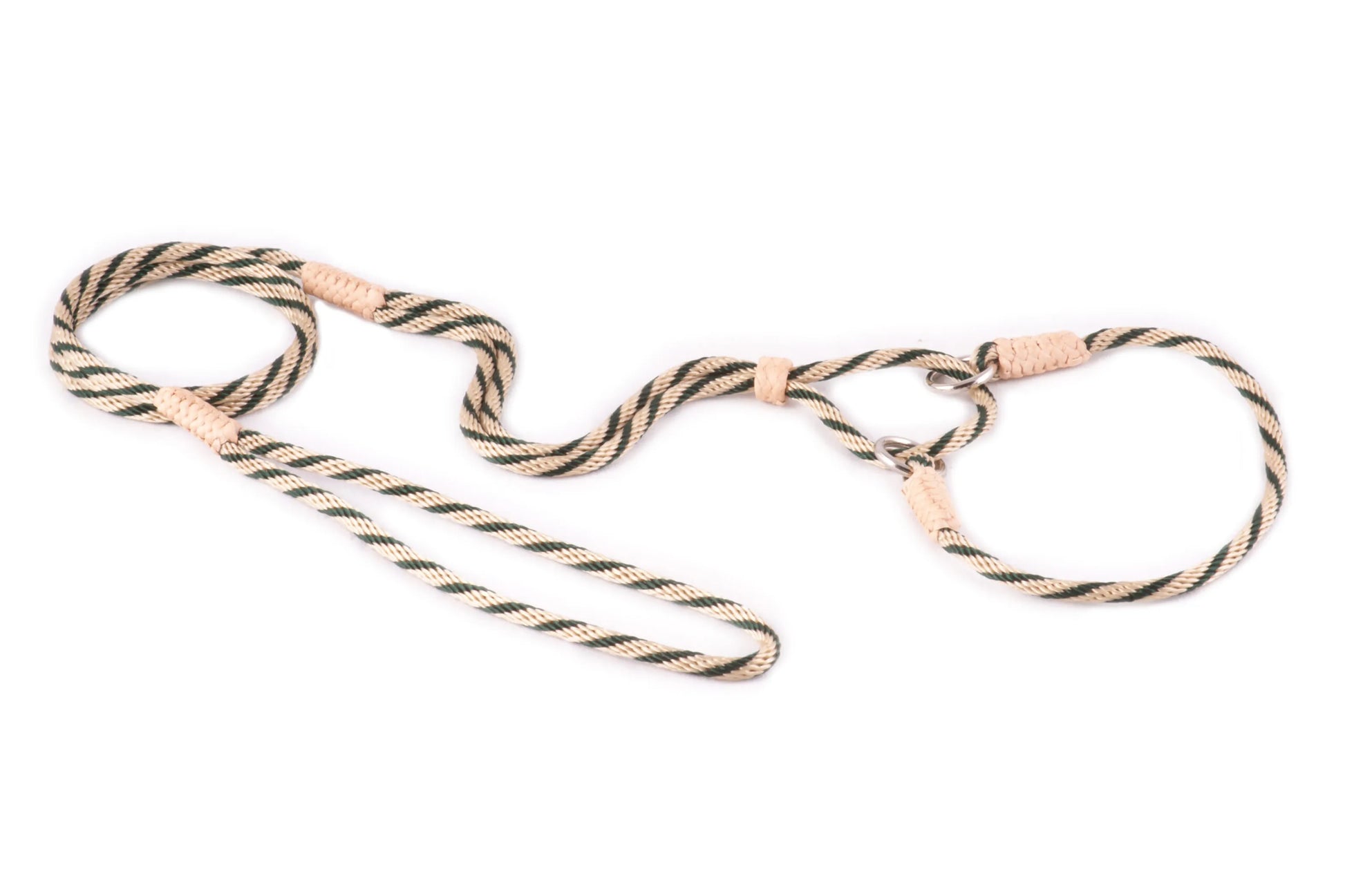 Nylon Martingale Leads (10in x 1/8in or 4mm) - Your Pet Connection