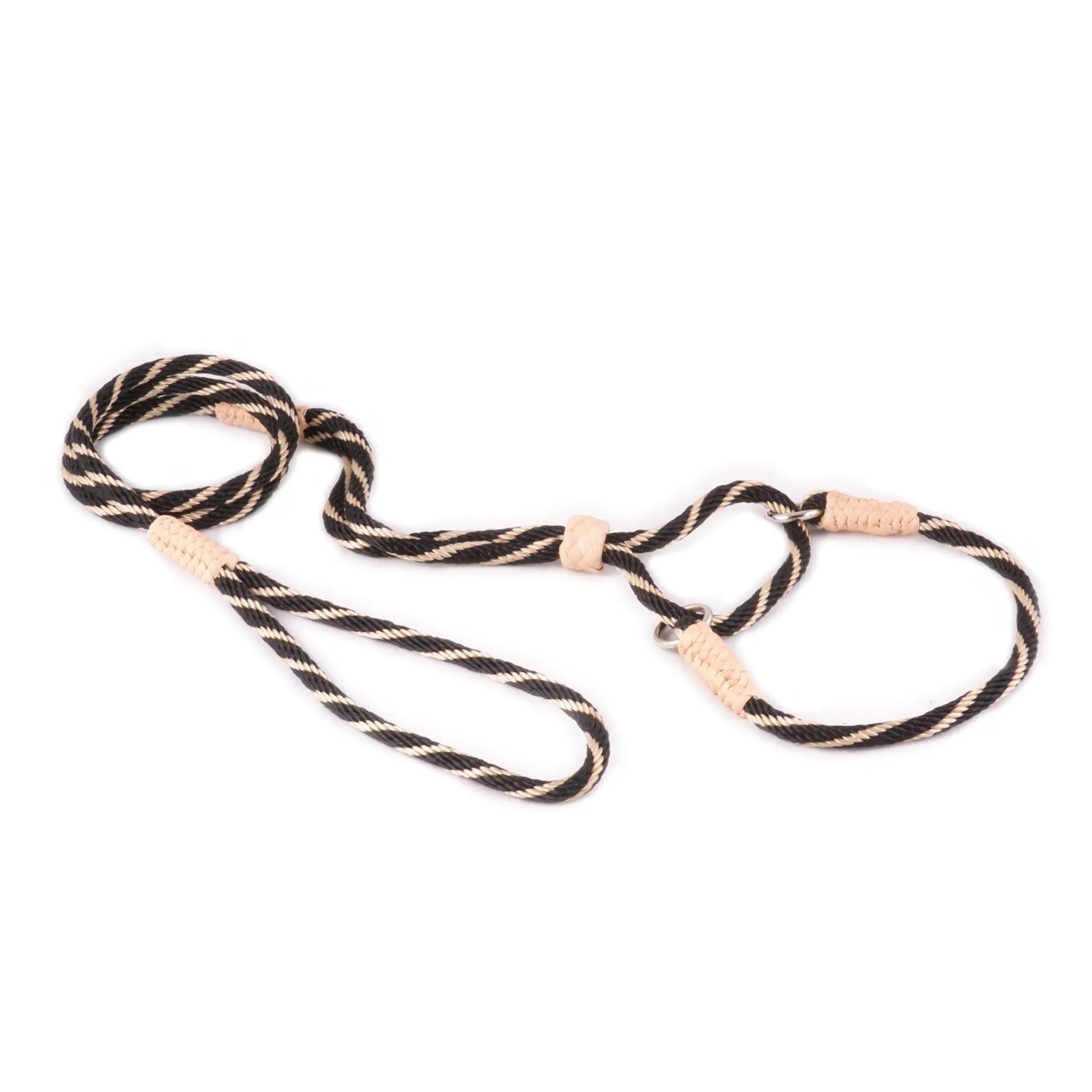 Nylon Martingale Leads (10in x 1/4in or 6mm) - Your Pet Connection