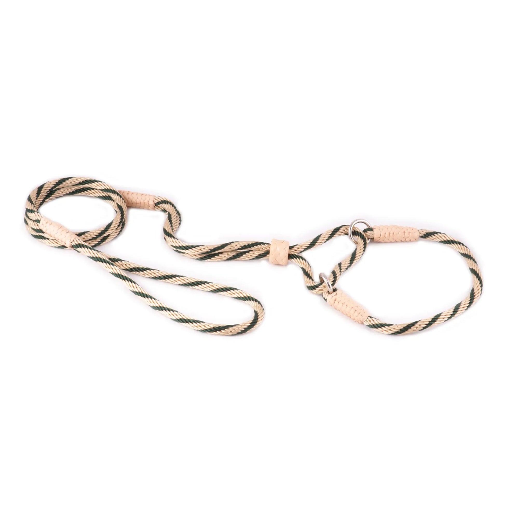 Nylon Martingale Leads (10in x 1/4in or 6mm) - Your Pet Connection