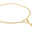Slip Snake Show Chain Collar (20 in x 3.8mm) - Your Pet Connection