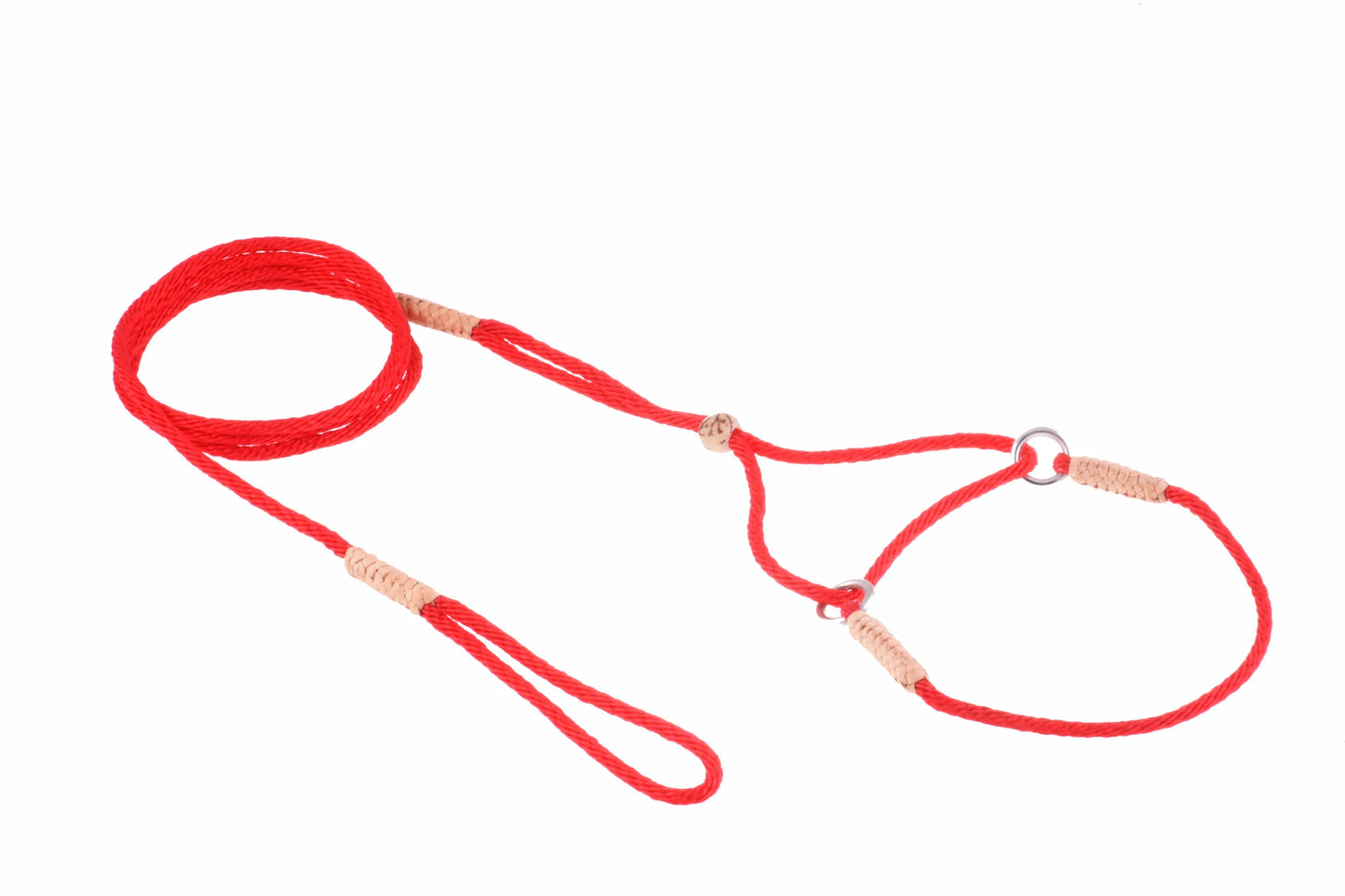 Nylon Martingale Leads (8in x 1/16 or 2 mm) - Your Pet Connection