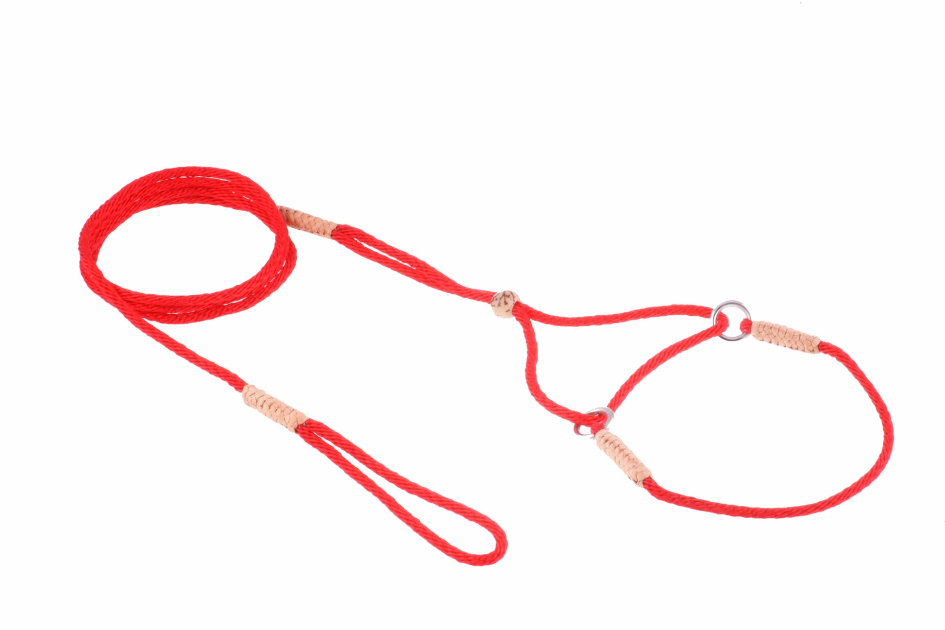 Nylon Martingale Leads (8in x 1/16 or 2 mm) - Your Pet Connection