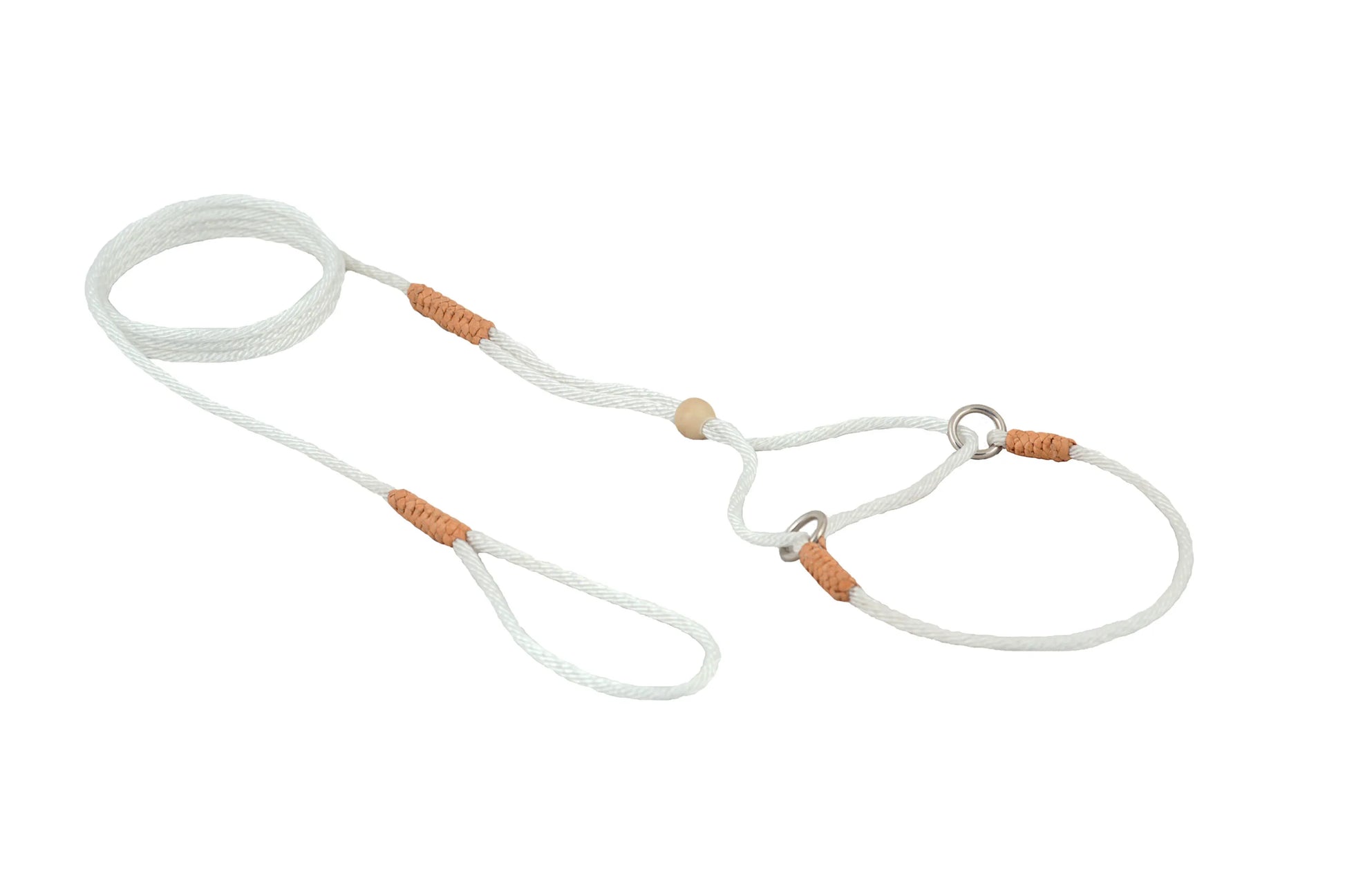 Nylon Martingale Leads (8in x 1/16 or 2 mm) - Your Pet Connection
