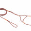 Nylon Martingale Leads (8in x 1/16 or 2 mm) - Your Pet Connection