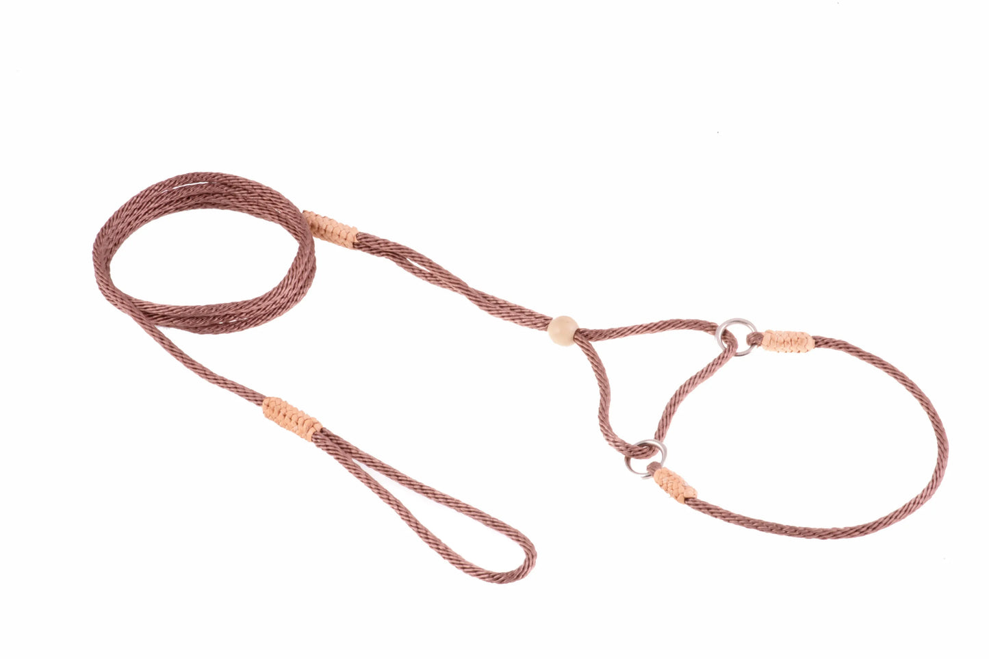 Nylon Martingale Leads (8in x 1/16 or 2 mm) - Your Pet Connection