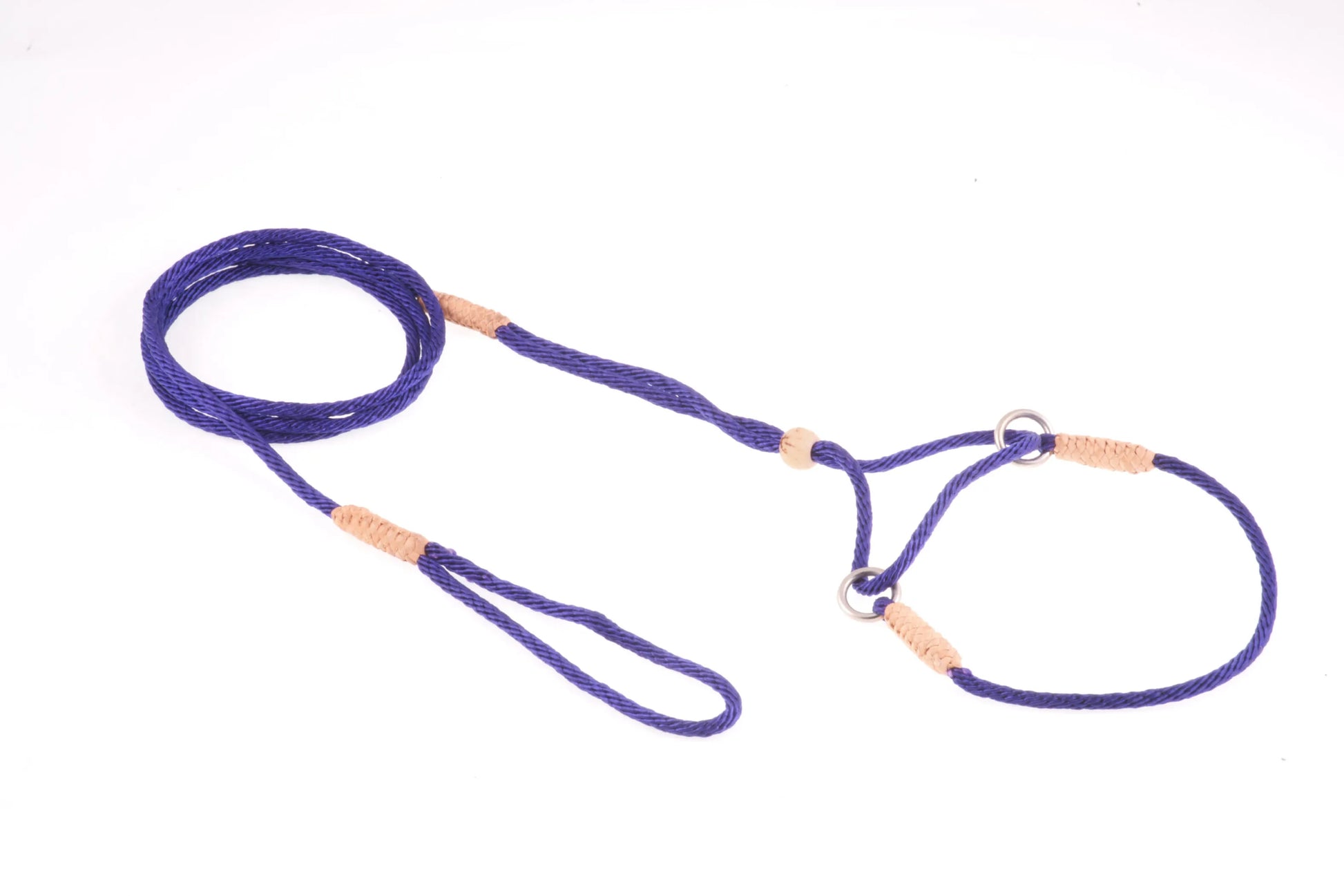 Nylon Martingale Leads (8in x 1/16 or 2 mm) - Your Pet Connection