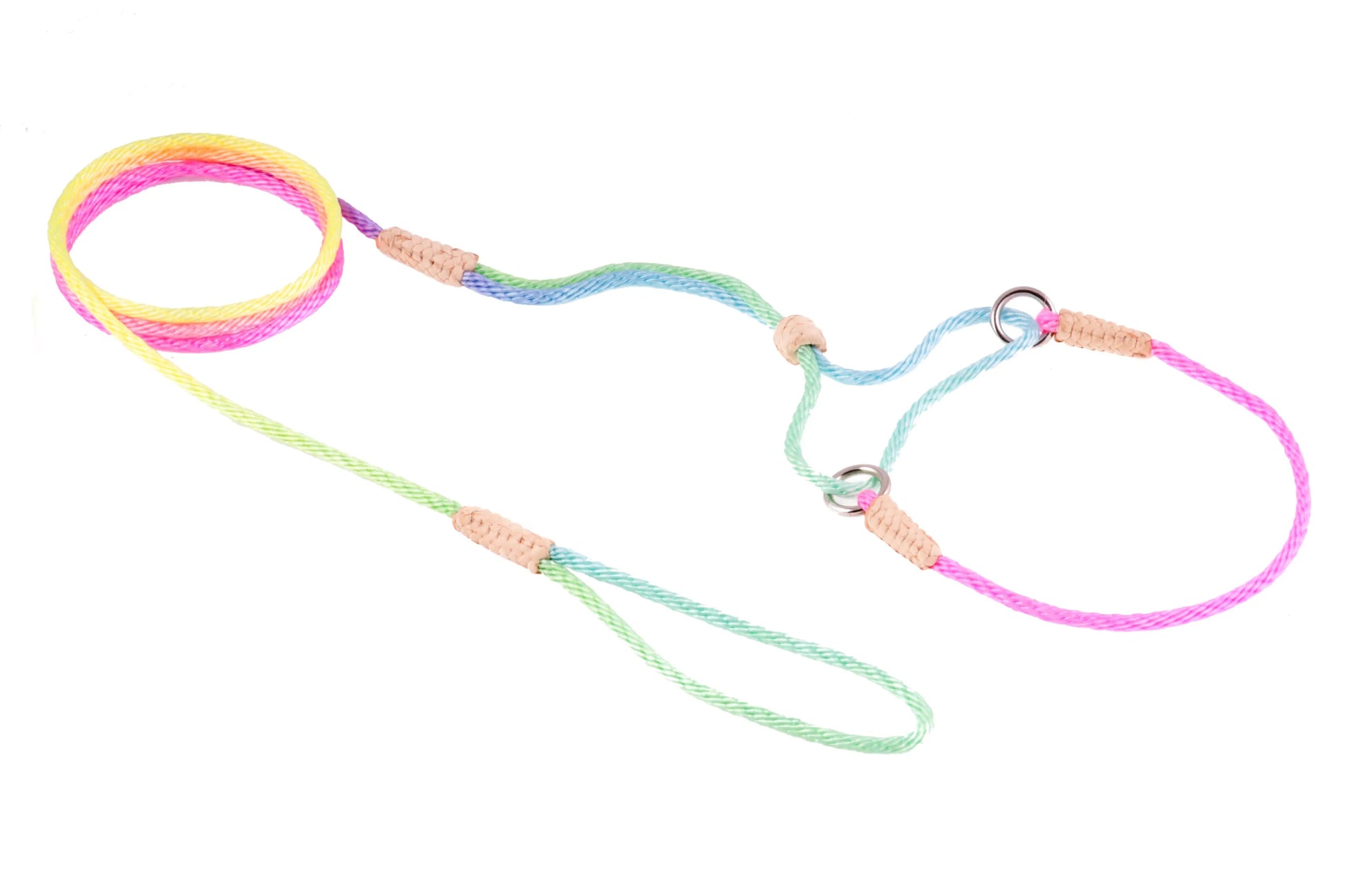 Nylon Martingale Leads (8in x 1/16 or 2 mm) - Your Pet Connection