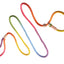 Nylon Slip Leash With 2 Stoppers (6ft  x 5/16in or 8mm) - Your Pet Connection