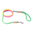 Nylon Snap Leads (4 ft  x 1/8in or 4mm) - Your Pet Connection