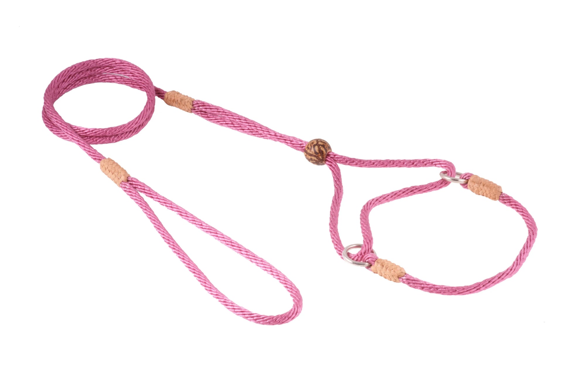 Nylon Martingale Leads (8in x 1/8in or 4mm) - Your Pet Connection