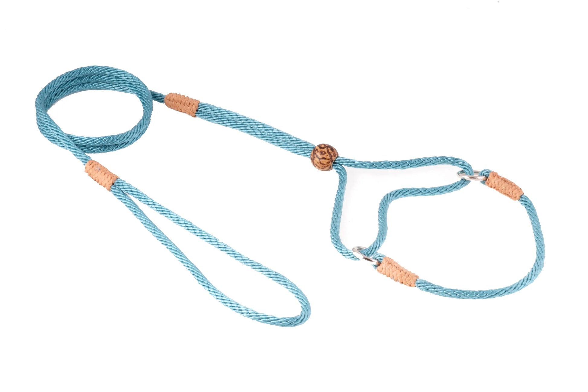 Nylon Martingale Leads (8in x 1/8in or 4mm) - Your Pet Connection
