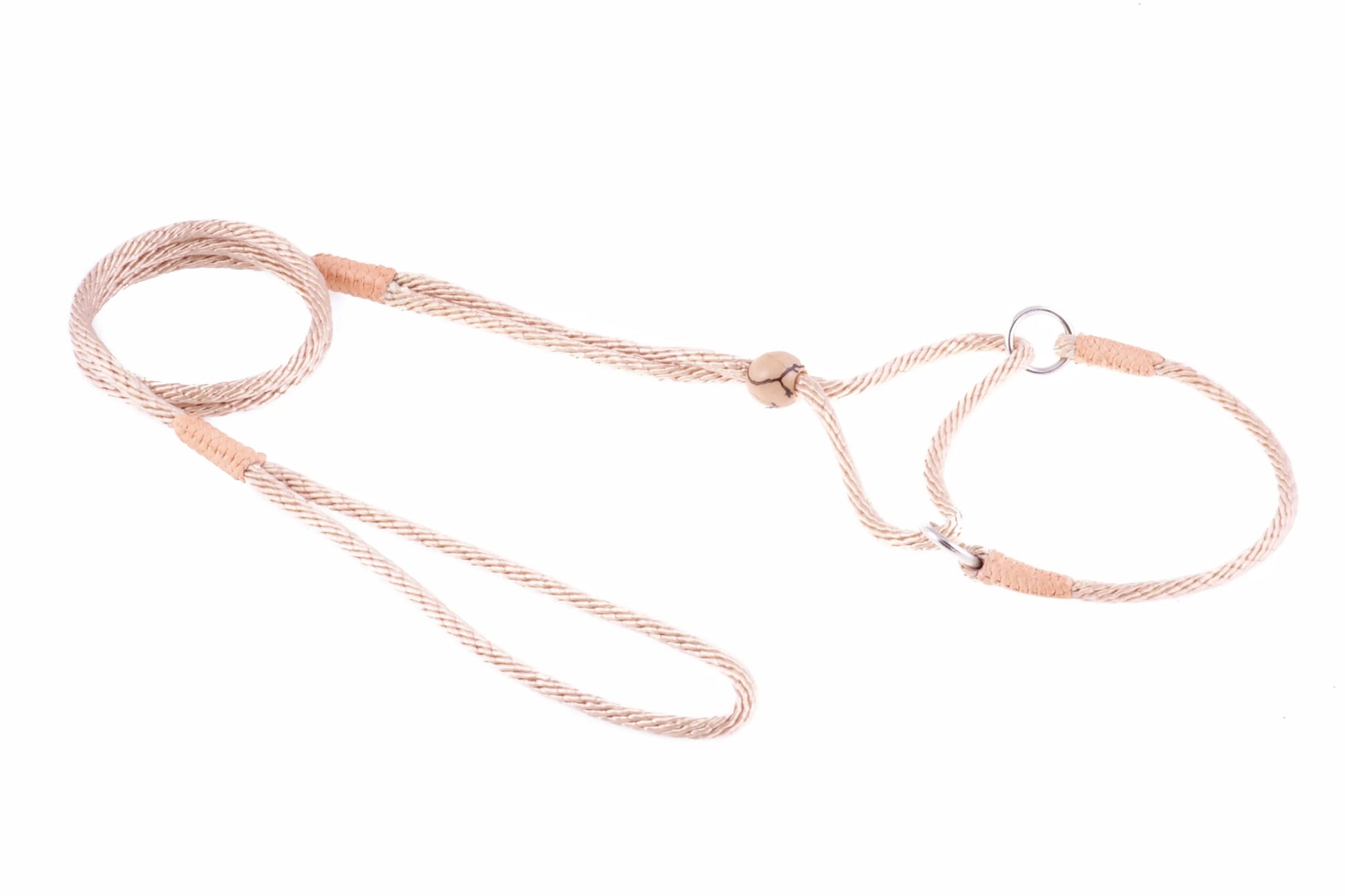 Nylon Martingale Leads (8in x 1/8in or 4mm) - Your Pet Connection