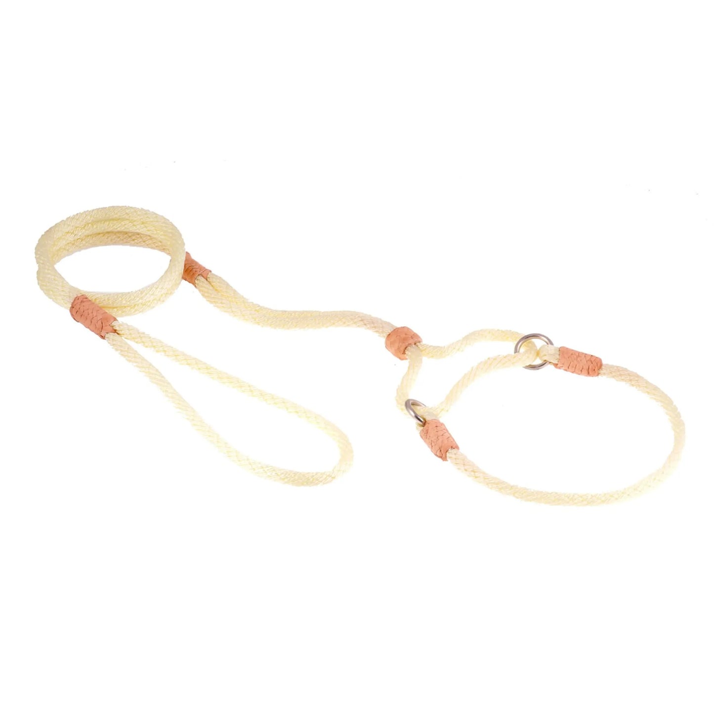 Nylon Martingale Leads (10in x 1/4in or 6mm) - Your Pet Connection