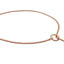 Slip Snake Show Chain Collar (26 in x 2.4mm) - Your Pet Connection