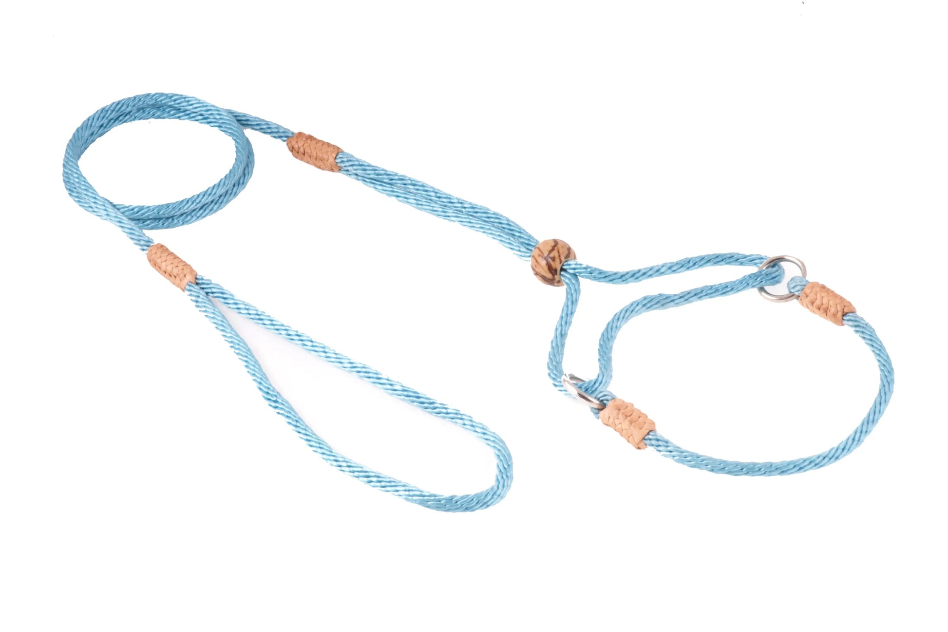 Nylon Martingale Leads (8in x 1/8in or 4mm) - Your Pet Connection