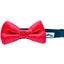 Cutie Ties Musical Notes Dog Bow Tie 2x4 Inches