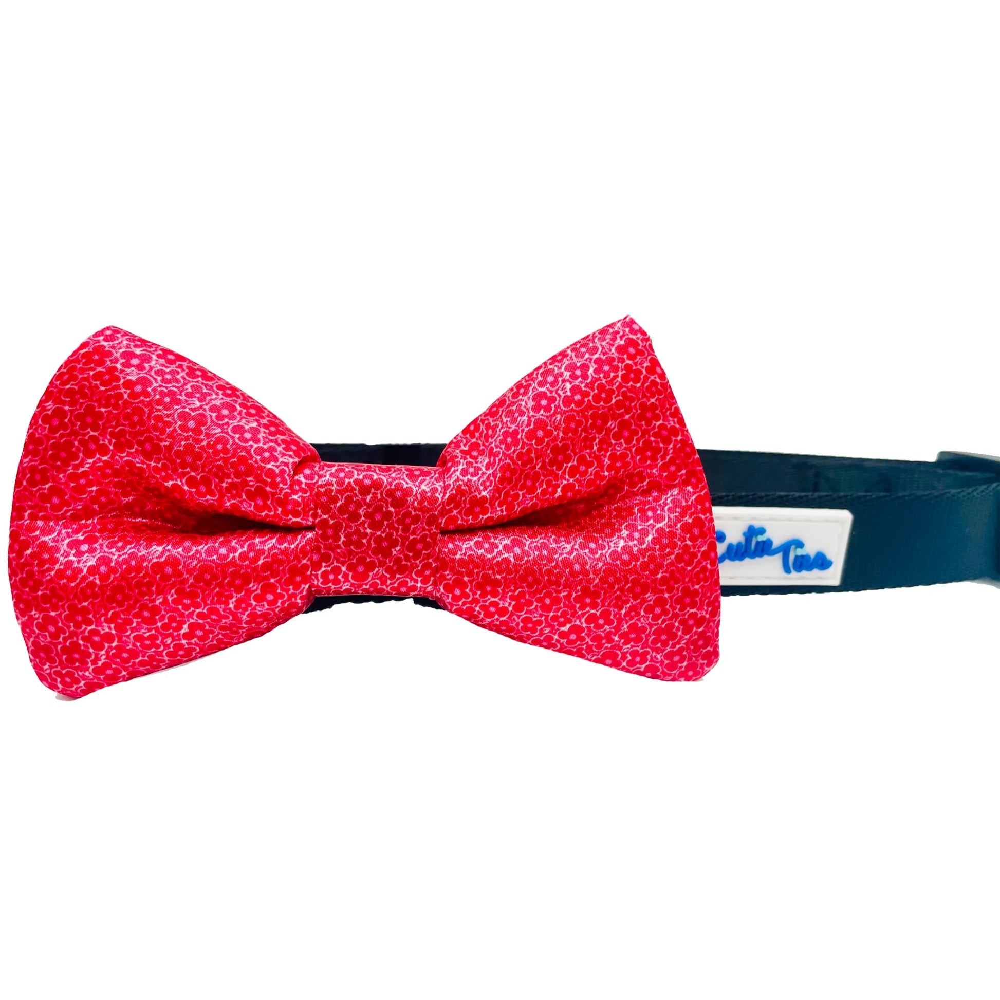 Cutie Ties Dog Bow Tie - Your Pet Connection