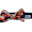 Copy the exact, literal content of Cutie Ties Floral Dog Bow Tie 2" x 4" into this field without changes.