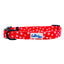 Cutie Ties Fun Design Dog Collar - Your Pet Connection
