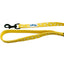 Cutie Ties Fun Design Dog Leash - Your Pet Connection