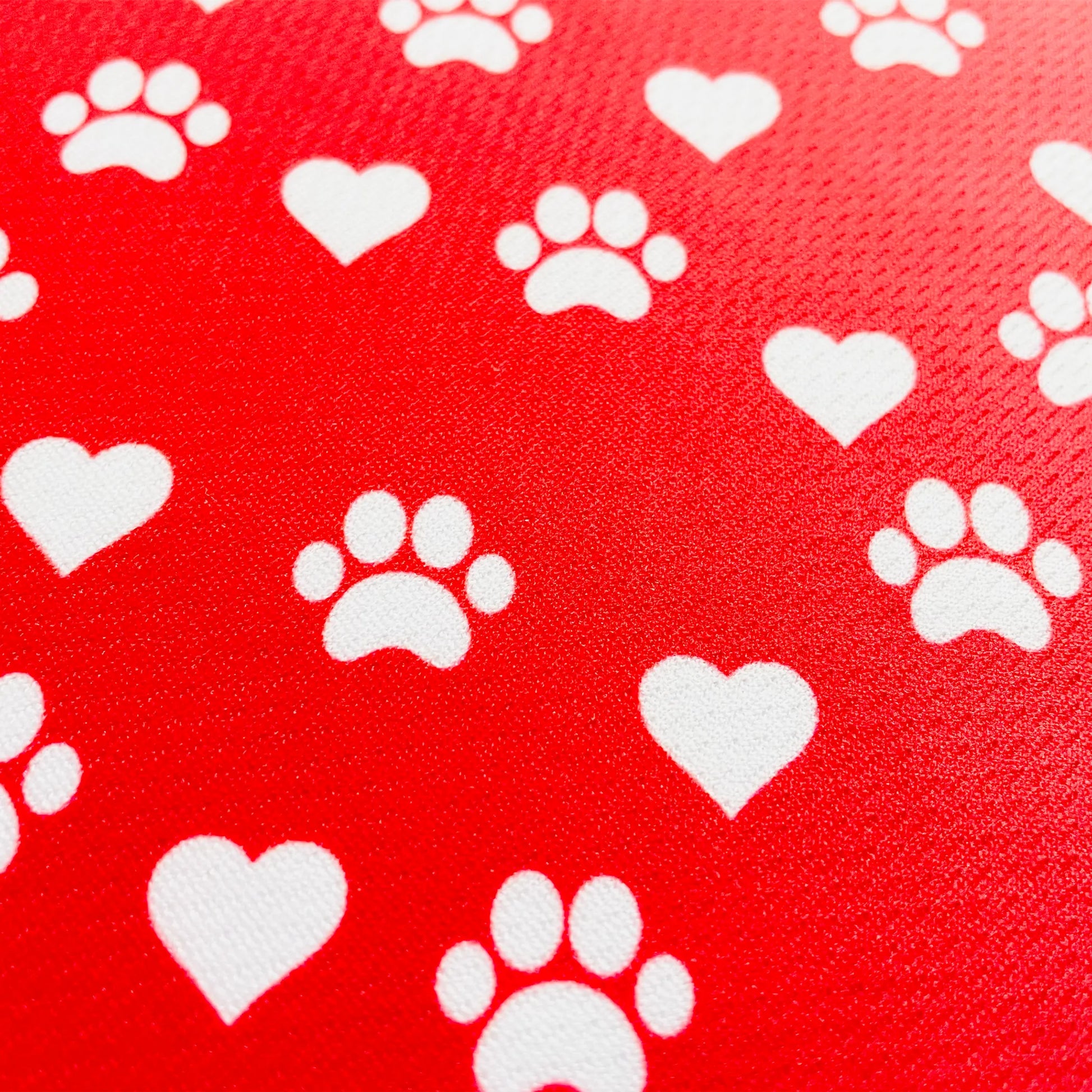 Cutie Ties Tie On Dog Bandana - Your Pet Connection