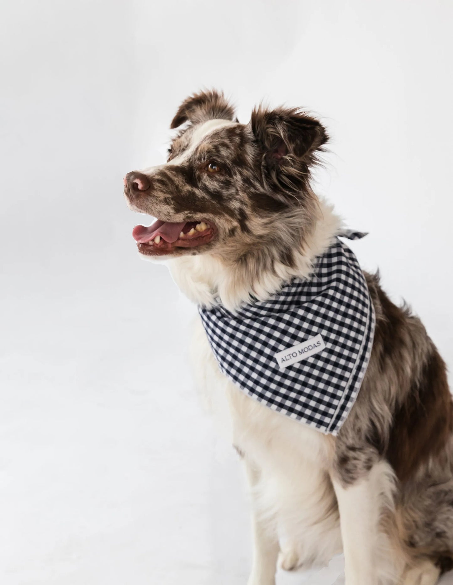 Alto Modas Classic Red Polka Dot Dog Bandana